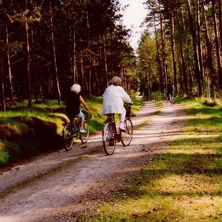 Kleine Auszeit - Natur Und Erholung In Mecklenburg Reimershagen Exterior photo